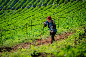 BIB: 
                            <button type="button" onclick="openModal(19162095)" class="btn btn-primary btn-sm float-right btn-popup" data-toggle="modal" data-target=".modal-high-quality">
                        <i class="fas fa-shopping-cart"></i> Add to Cart
                    </button>
                                            <button type="button" onclick="isThisMe(19162095, true)" class="btn btn-success btn-sm float-right btn-popup btn-isme hidden" data-toggle="tooltip" data-placement="bottom" title="นี่คือรูปของคุณใช่ไหม คลิกที่นี่เพื่อเอาเข้าอัลบั้ม">
                        <i class="fas fa-plus"></i> Add to album
                    </button>
                    <button type="button" onclick="isThisMe(19162095, false)" class="btn btn-warning btn-sm float-right btn-popup btn-isnotme hidden">
                        <i class="fas fa-ban"></i> Remove from album
                    </button>